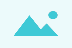 Canva Premium - [ Life Time - 1 Year Grantry ]